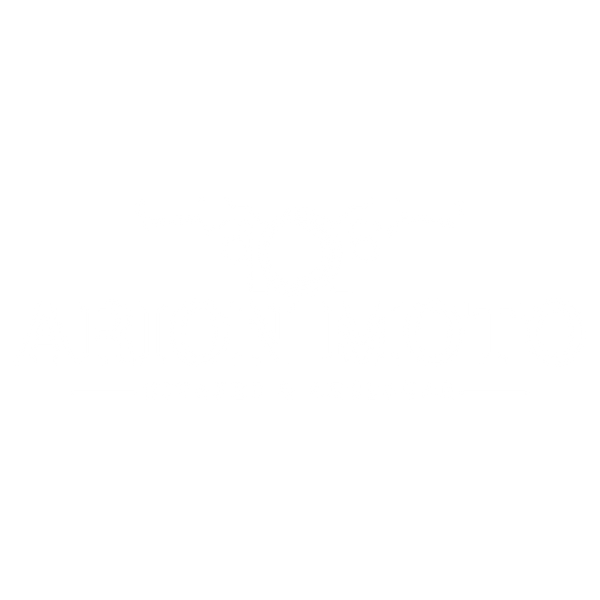 ARION MOTO